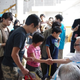 Illustration for article titled You Sure Hayao Miyazaki Doesnt Sign Autographs in Japan?